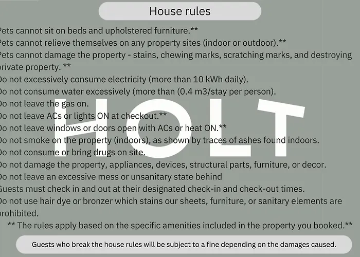 Wes Anderson In Boekarest