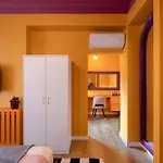 Wes Anderson In * 布加勒斯特
